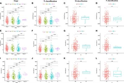 CXCL5 Has Potential to Be a Marker for Hepatocellular Carcinoma Prognosis and Was Correlating With Immune Infiltrates